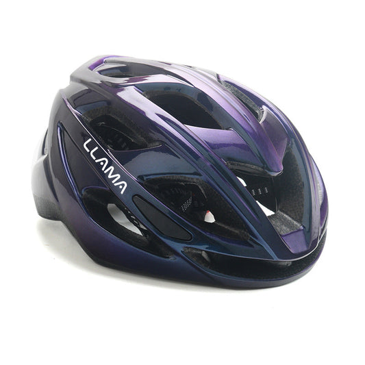 LLAMA Helmet