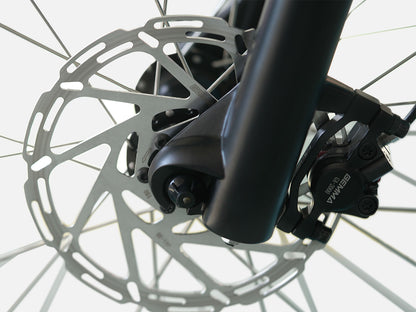LLAMA Trike CT10