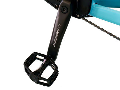 LLAMA Trike CT10