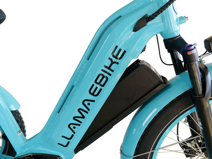 LLAMA Trike CT10