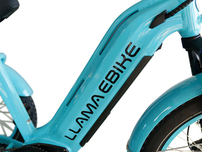 LLAMA Trike CT10
