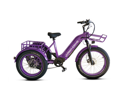 LLAMA Trike CT10