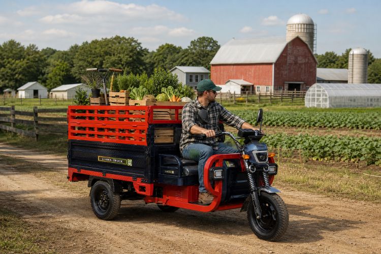 High-sided cargo trike on a farm track

